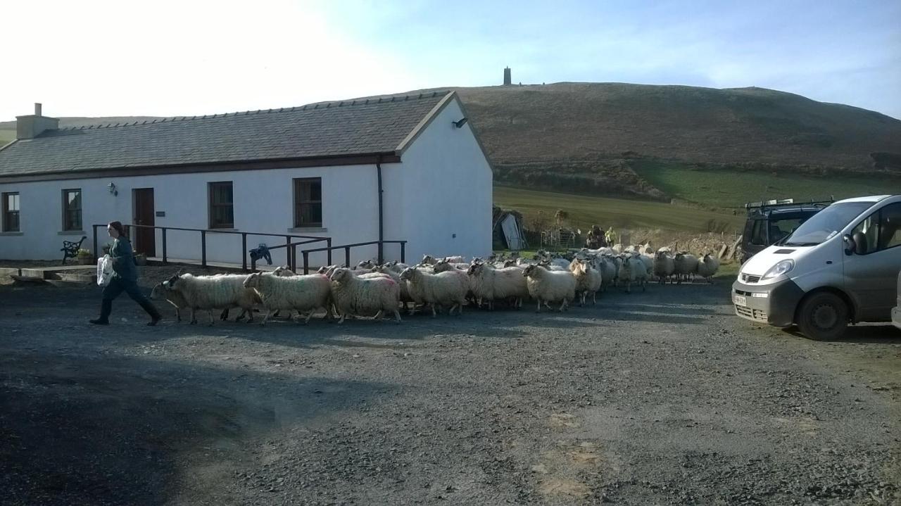 Knockaloe Beg Farm Panzió Patrick Kültér fotó
