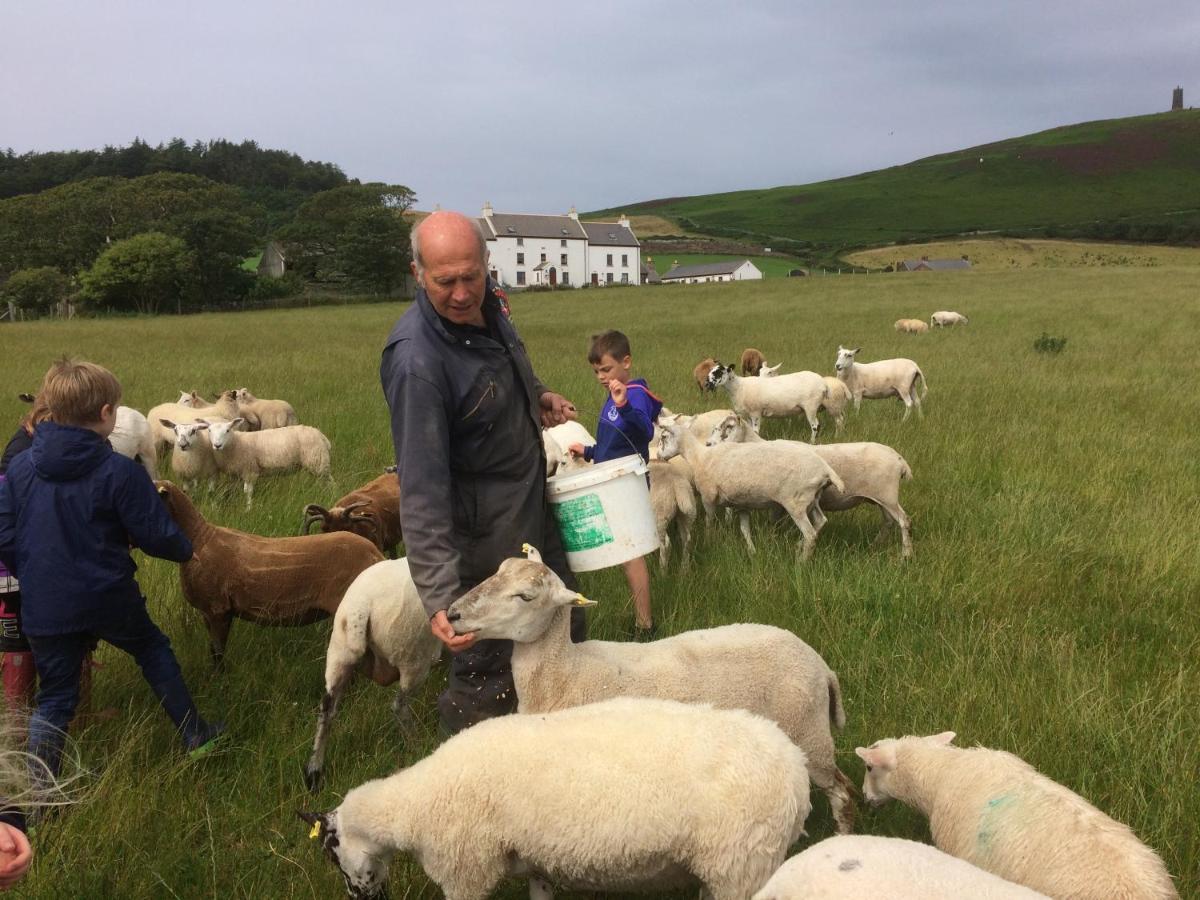 Knockaloe Beg Farm Panzió Patrick Kültér fotó